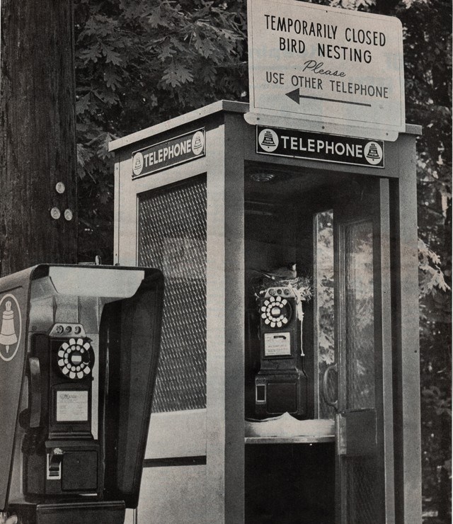 Внезапно появилась реклама на телефоне. Телефонная будка Япония 1961. Телефон 1940 года. 1940 Год мобильный телефон. Ретро public телефон.